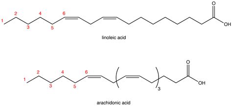 Omega-6 Fatty Acid - Chemistry LibreTexts