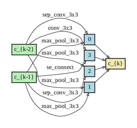 Normal cell structure searched by the proposed method. | Download Scientific Diagram