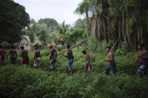 Traditions of the Peruvian Amazon: A Cultural Mosaic - 2024