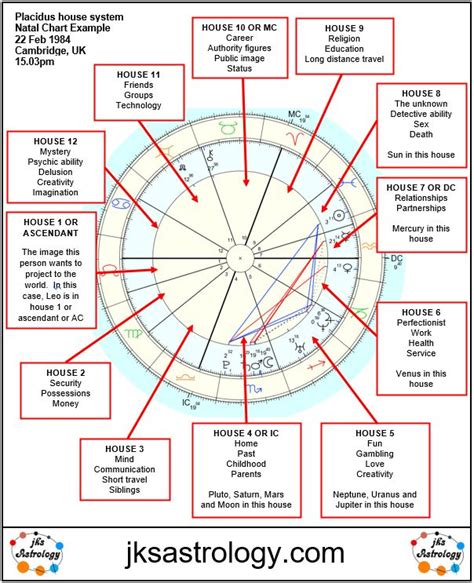 Understanding Natal Chart House Layout | Astrology chart, Birth chart ...