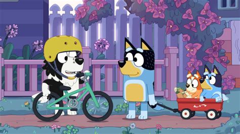 Watch Bluey Season 1 Episode 8 on Disney+ Hotstar