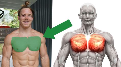 Build Incredible Chest Muscle Mass with this Unusual Exercise that You've Never Tried Before ...