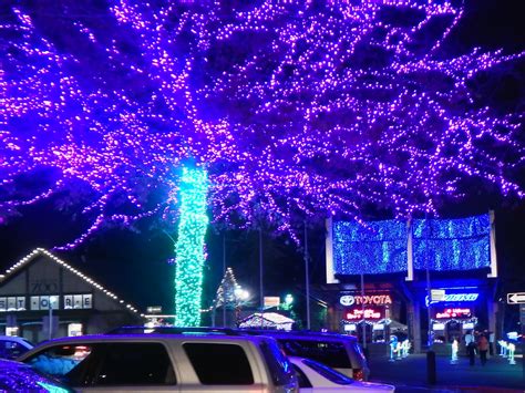 Melissa Kaylene: ZooLights Adventure