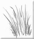 DRAWING GRASS and WEEDS tutorial by Diane Wright | Landscape pencil drawings, Landscape sketch ...