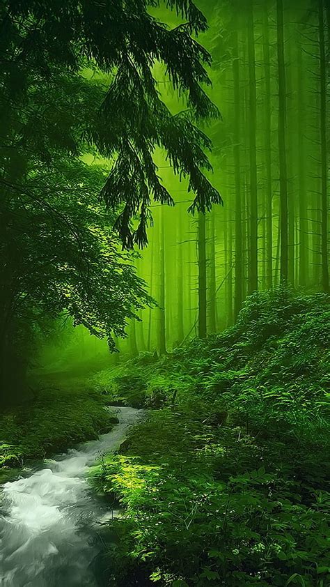 Fantasy forest, colors, fall, forest, green, mystic, HD phone wallpaper | Peakpx