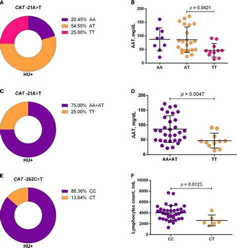 Frontiers | Sickle Cell Anemia: Variants in the CYP2D6, CAT, and SLC14A1 Genes Are Associated ...