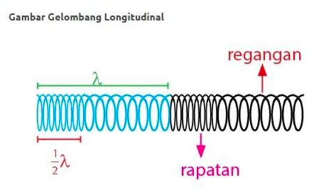 Materi Klasifikasi dan Ciri Gelombang Bunyi – Fisika Kelas 11 - Quipper ...