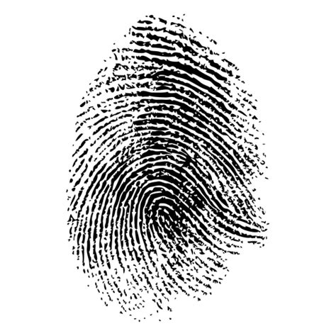 Fingerprint PNG Designs for T Shirt & Merch