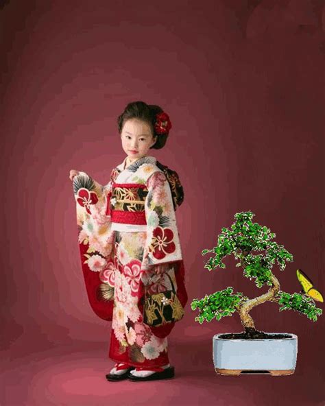 Flowery Wallpaper, Gif Pictures, All Video, Bonsai, Novelty Christmas, Christmas Ornaments ...