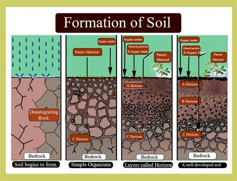 Soil Formation Steps