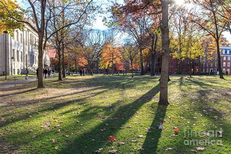 Harvard Yard Photograph by Jannis Werner - Pixels