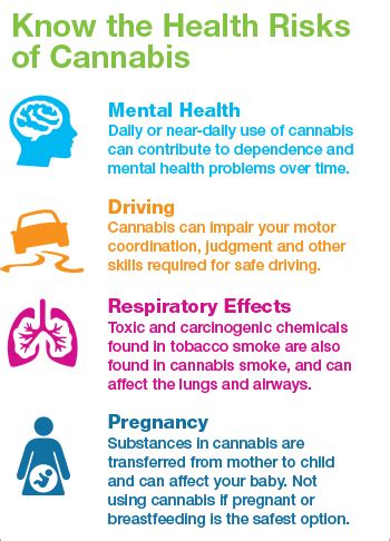 Know the Health Risks of Cannabis [infographic] | Canadian Centre on ...