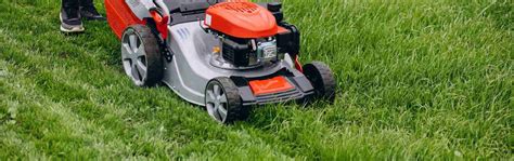 When and How Often Should You Cut Your Grass? - Perfect Lawn Care