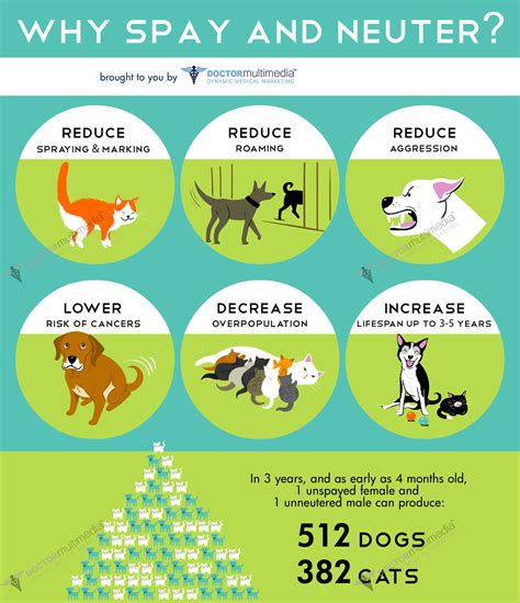 Share this Spay & Neuter Infographic - Medical Websites & Healthcare ...