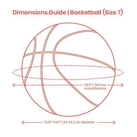Official NBA Basketball Size and Specifications