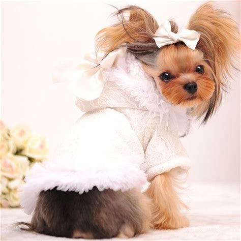 Mr Michael Girl Dog Clothes Winter Female Dog Coat Cute Lace Fleece Li