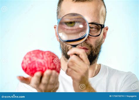 Man looking at human brain stock photo. Image of mind - 173473274