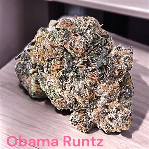 OBAMA RUNTZ 3.5g HYBRID 28%THC 🔥🔥 - Green Therapy NYC