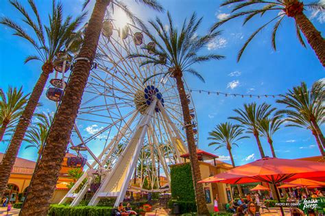 100+ Things to Do in Orange County, California - WanderWisdom