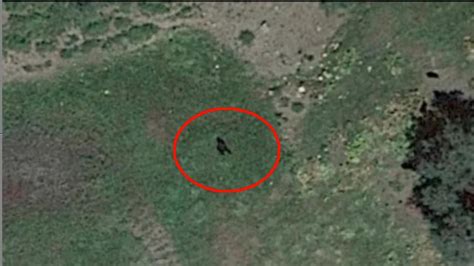 Google Earth satellite images show mystery figure | The Courier Mail