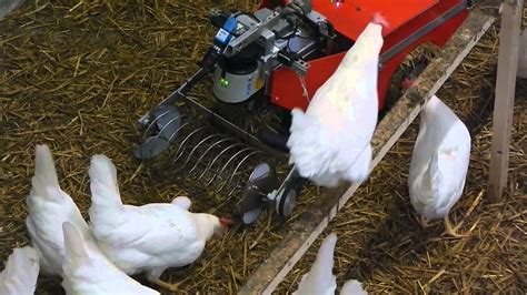 Floor egg collection with PoultryBot