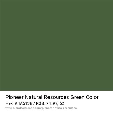 Pioneer Natural Resources Brand Color Codes » BrandColorCode.com