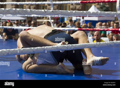 Martial arts. Fight in the ring Stock Photo - Alamy
