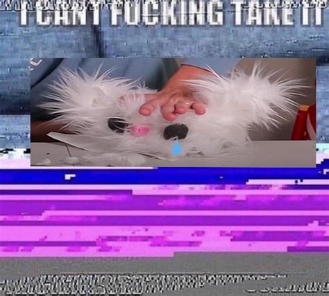 Appreciation post for the bunny hole puncher Danny made in his Troom ...