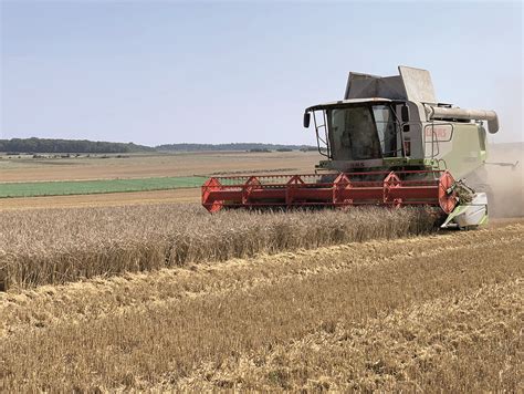 Moisson, une qualité qui n’est pas au rendez-vous, pour l’instant | La ...