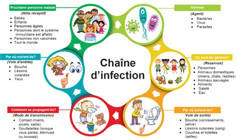 Chaîne d'infection - Santé publique Ottawa