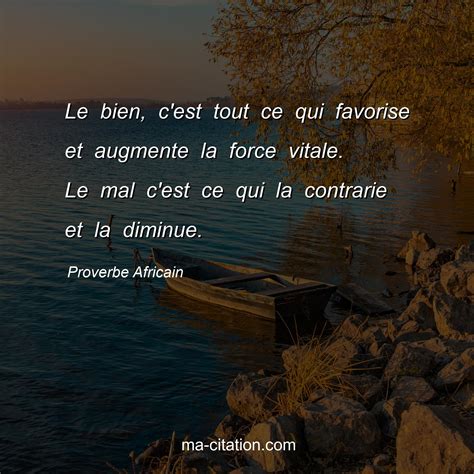 Le bien, c'est tout ce qui favorise et augmente la force vitale. Le mal ...
