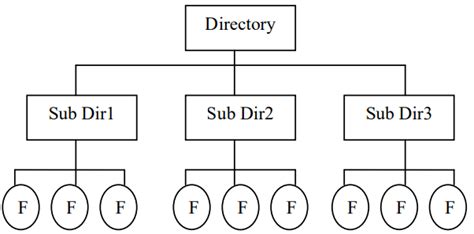 Directory Structure in Hindi – डायरेक्टरी स्ट्रक्चर क्या है ...