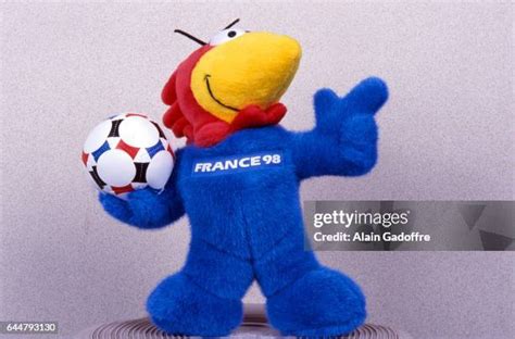 40 Footix Stock Photos, High-Res Pictures, and Images - Getty Images