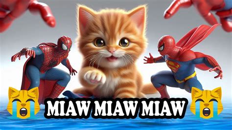 Miaw miaw miaw miaw song sad with spiderman, ironman, batman - YouTube
