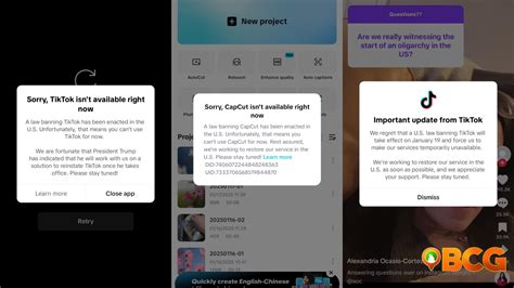 TikTok Goes Dark in the U.S.: The Ban and Its Global Ripples | BCG