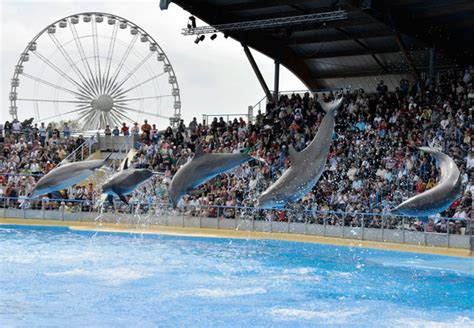 Marineland | Cannes Destination