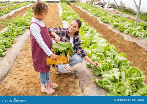 Family, Happy and Farming in Vegetable Greenhouse for Child Learning ...