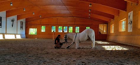 1. Horse Adventures in Europe 2019! – HorseMagic