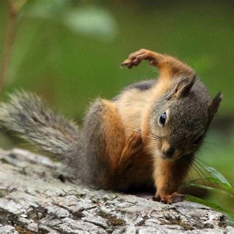 1738 keke mix - song and lyrics by eno, Vencí | Spotify