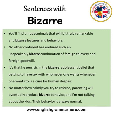Sentences with Bizarre, Bizarre in a Sentence in English, Sentences For ...