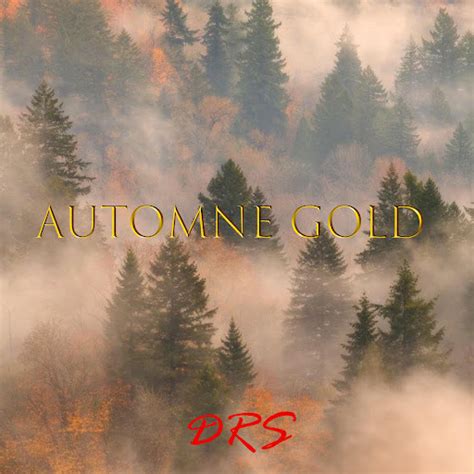 Automne Gold - YouTube Music