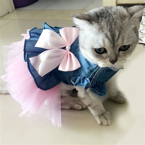 Denim Pet Cat Clothes Dresses | Skirts Dresses Cats | Sphynx Cat Summer ...