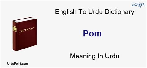 Pom Meaning In Urdu | پومیرینیا کا کُتا | English to Urdu Dictionary