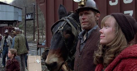 Nashville Lady · Stream | Streaminganbieter