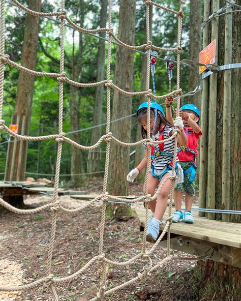 【Reservations are required 】 | Forest Adventure