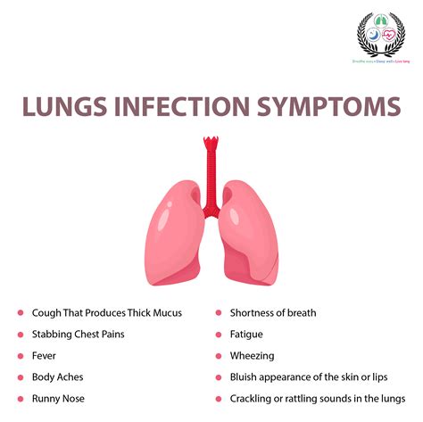 Lung Infection: Types, Symptoms, Treatment Guide