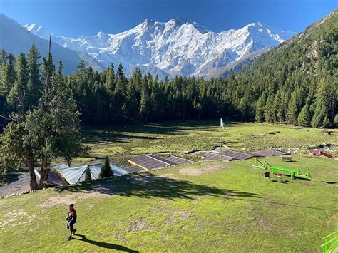Fairy Meadows Travel Guide 2023 - Routes, Nearby Places & More