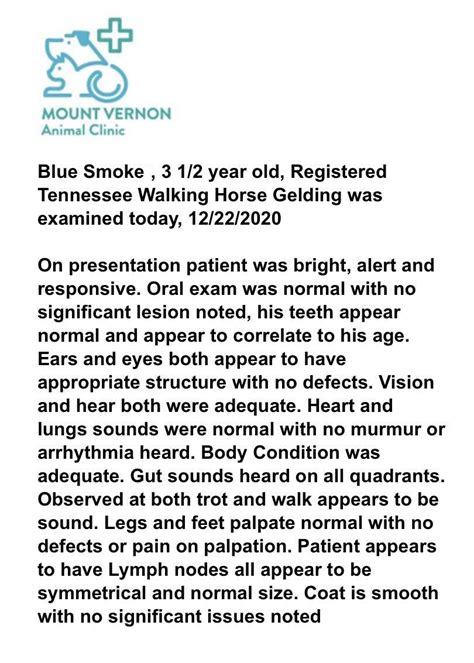 Top class beautifully Gaited Horse Breed, - Gaited Horse Market Place