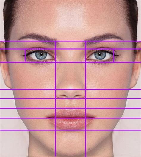 Drawing A Face Proportions - Drawing Tips Guide