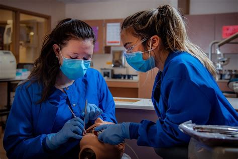 Best Universities for Dentistry UK 2023 — Getting in